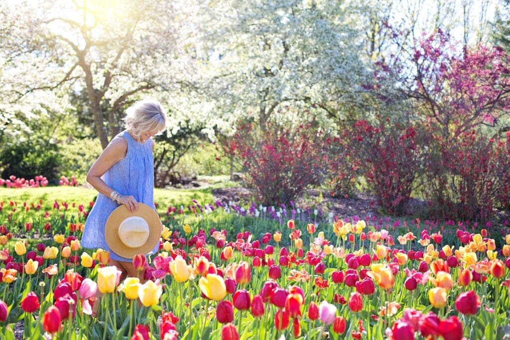 woman walking on a weed free bed of tulip flowers with the best garden weed membrane
