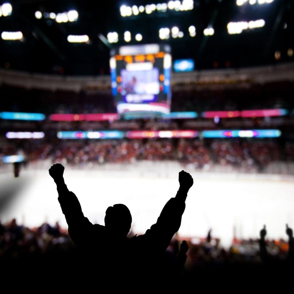 hockey fan