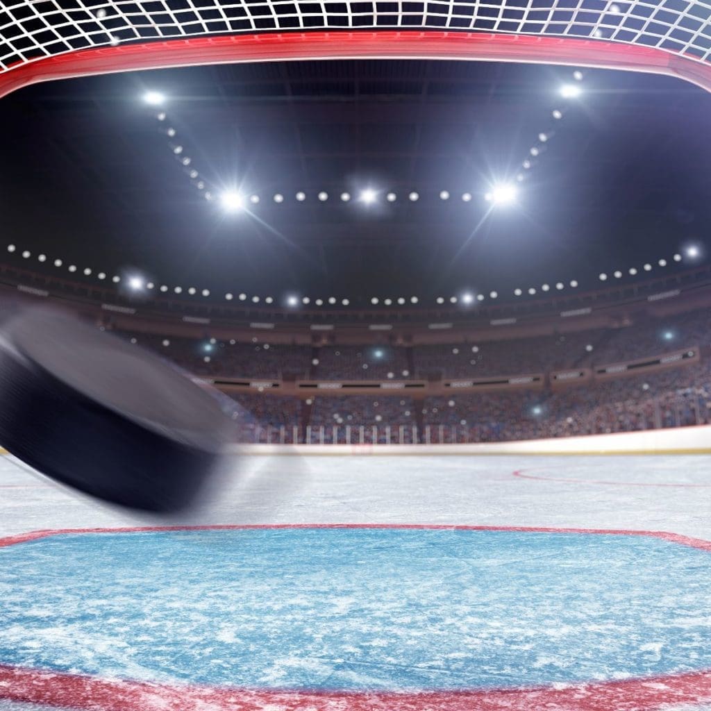 hockey puck in a net